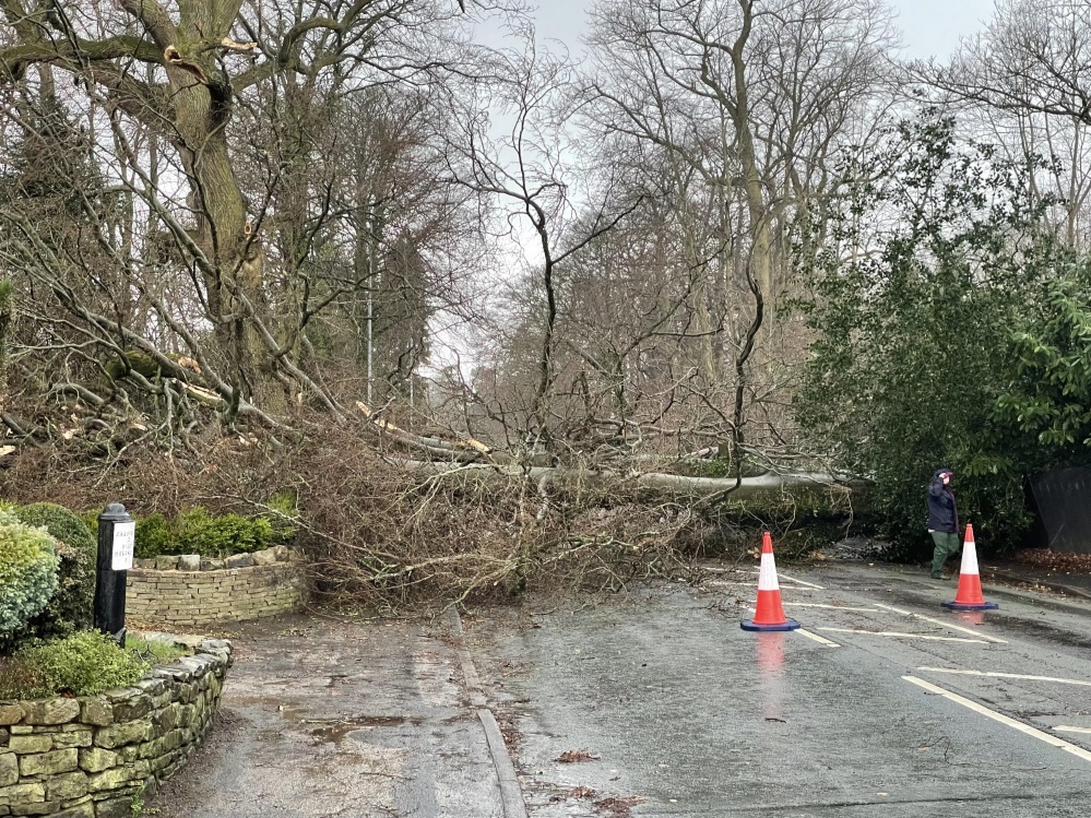 A fallen tree is blocking Chester Road in Hartford Picture: Howie Rose