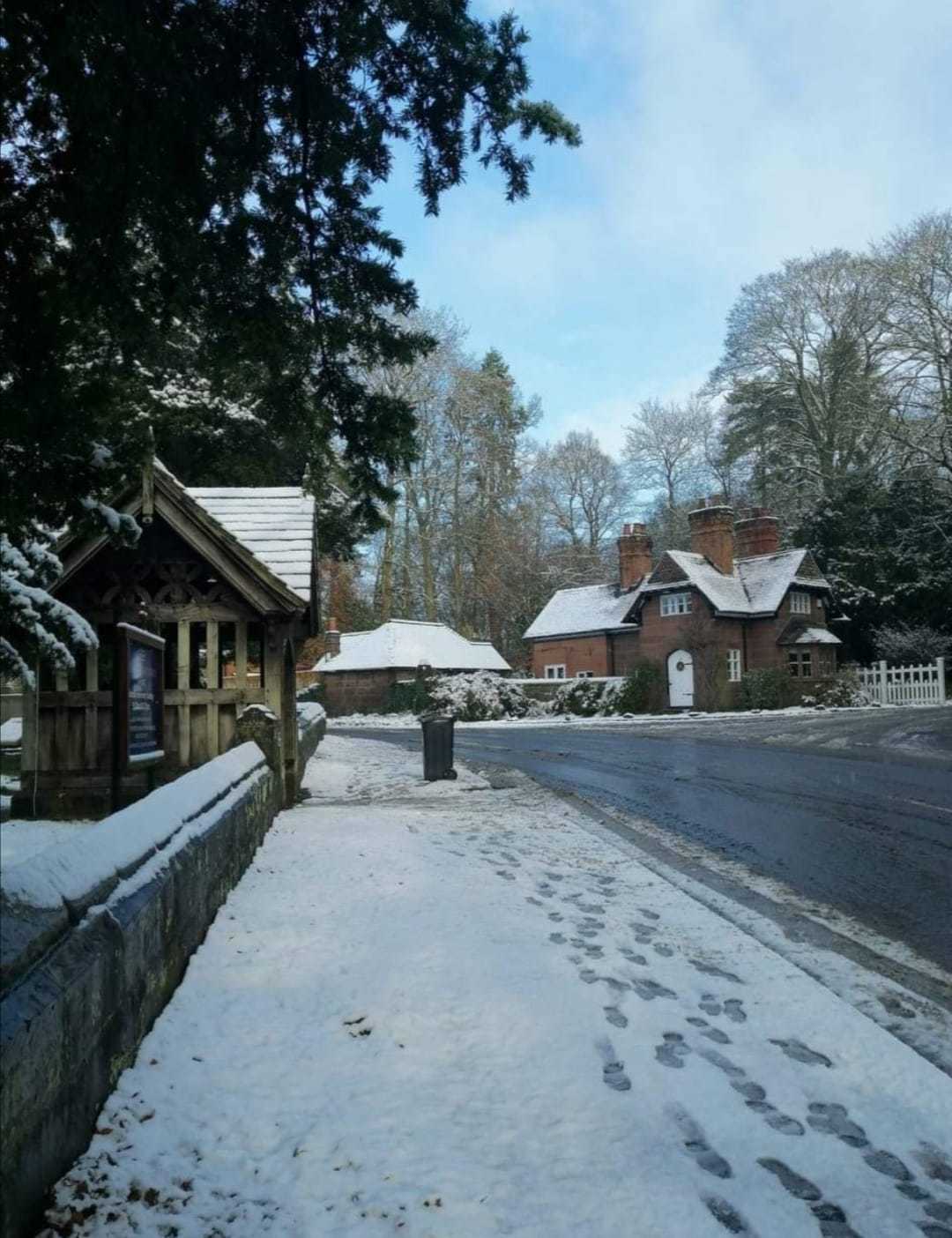 A snowy Whitegate by Lisa Lacking