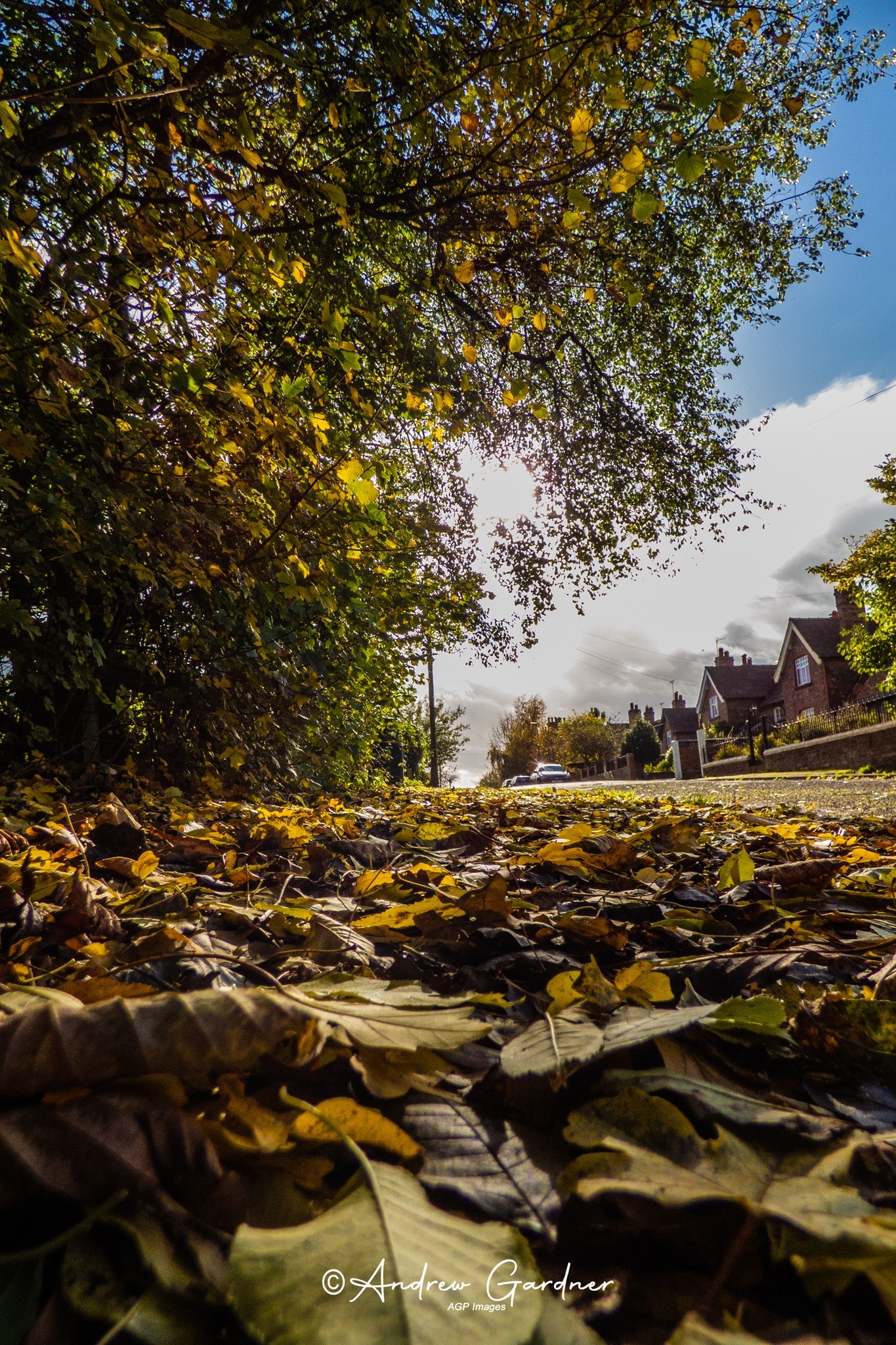 Beswick Road, Winnington by Andrew Gardner