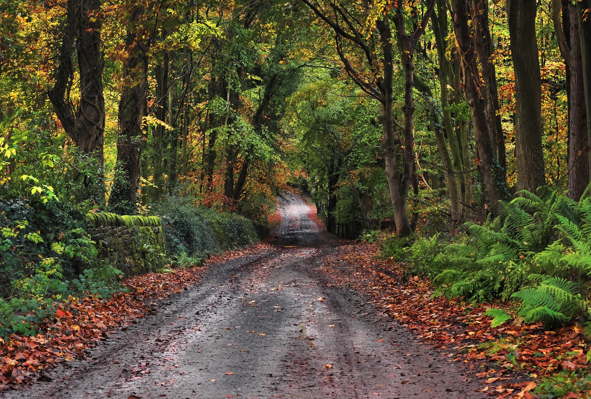 Hocker Lane in Alderly by Terry Dixon and Jen Tucker