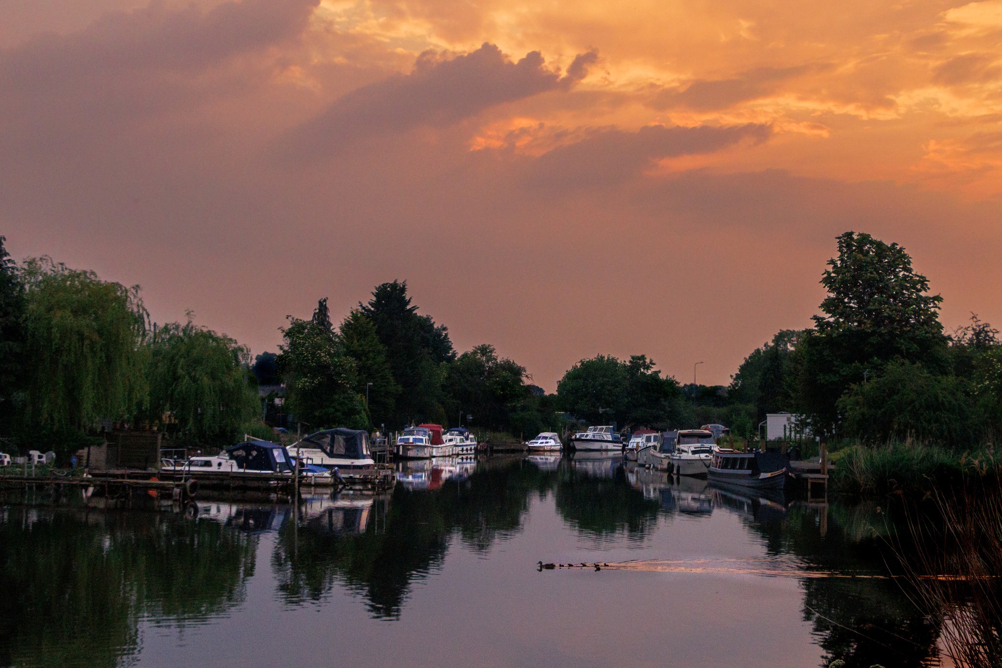 The river Weaver at Acton Bridge by Terry Dixon