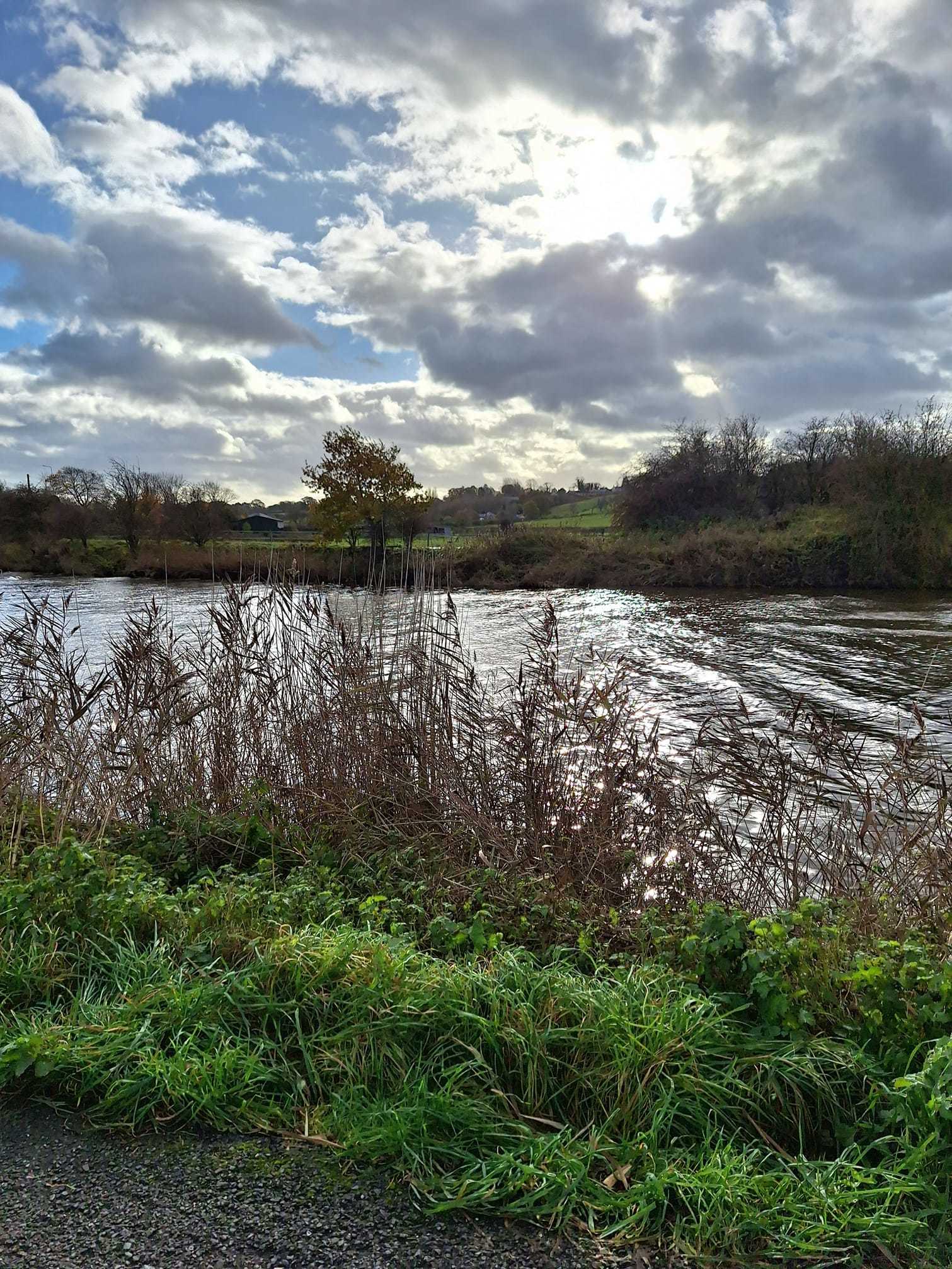 Acton Bridge by Rose Hurley