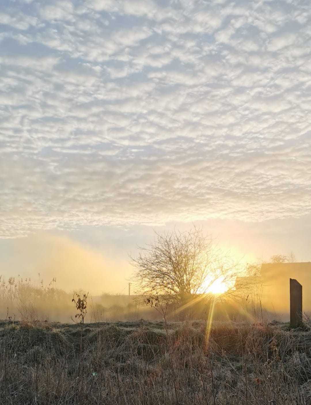 Rudheath by Ann Marie Talyor