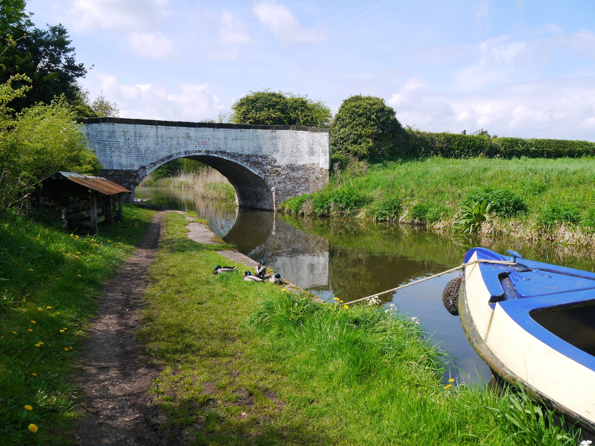 The Trent and Mersey Canal near Acton Bridge by Wendy Mahon