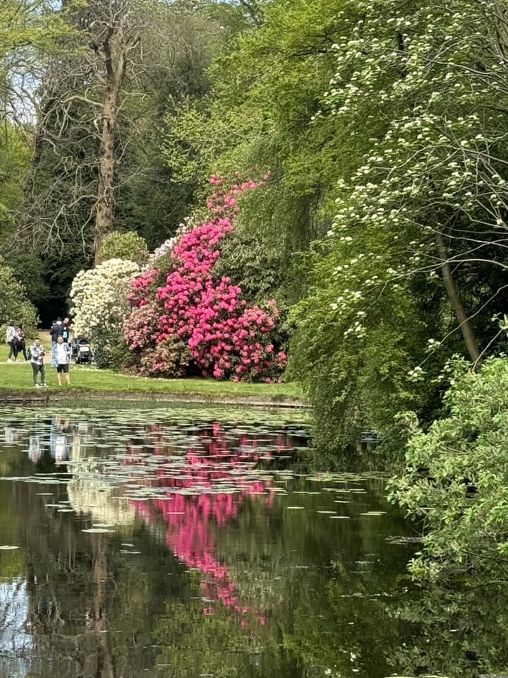 Tatton Park by Sue Clough