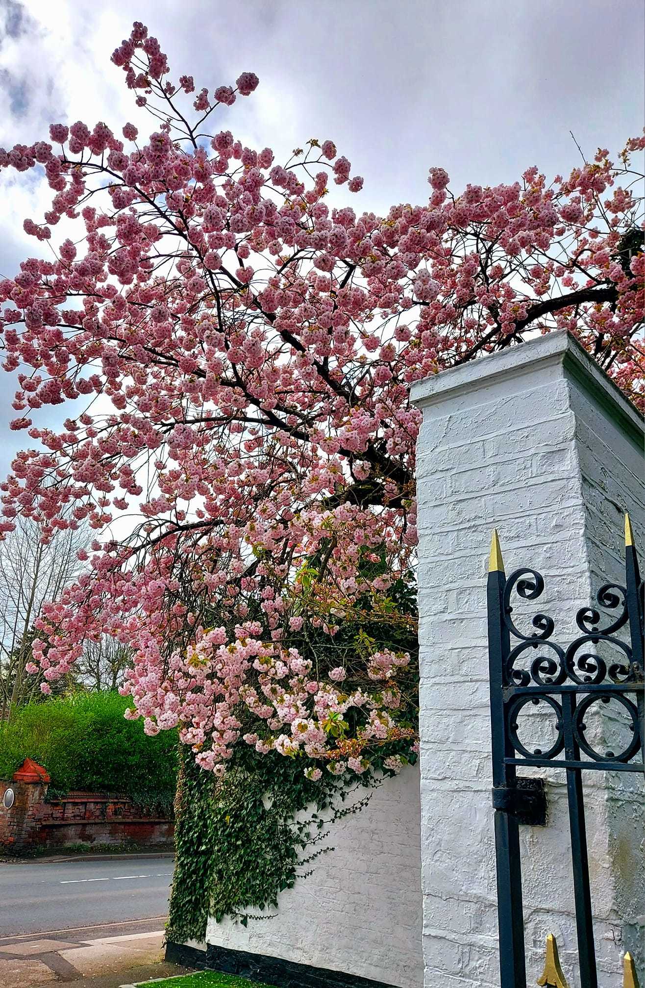 Toft Road, Knutsford by Miriam Elder