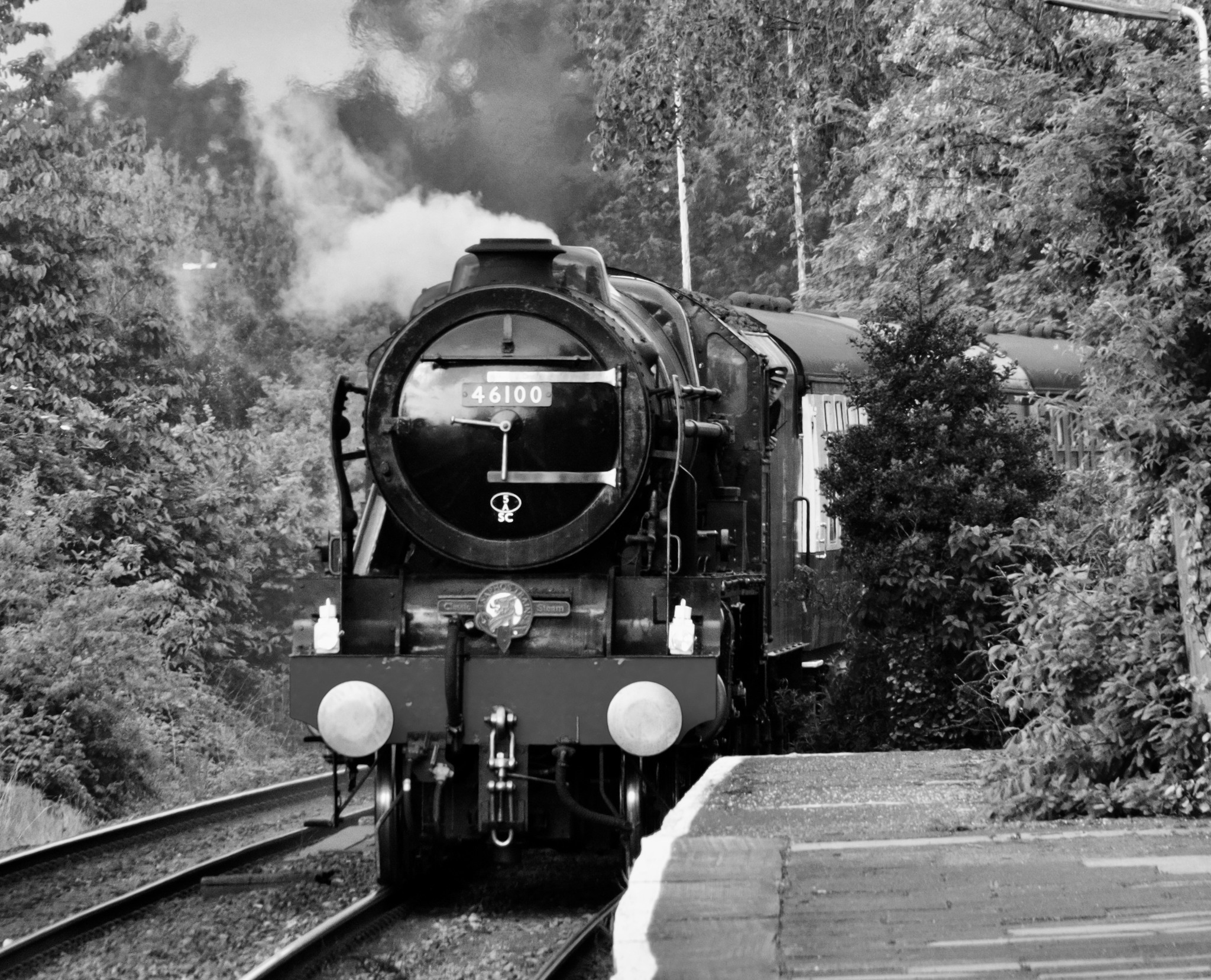 Arrival of the Royal Scotsman by Terry Gregory