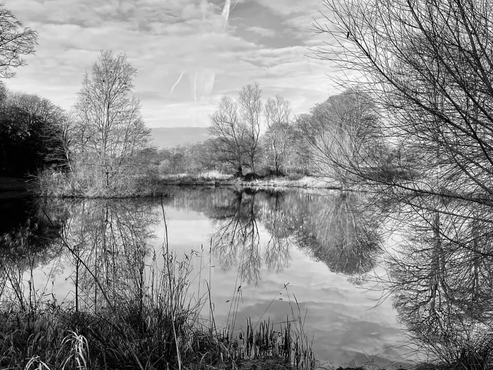 Arley pond by Sue Lawless