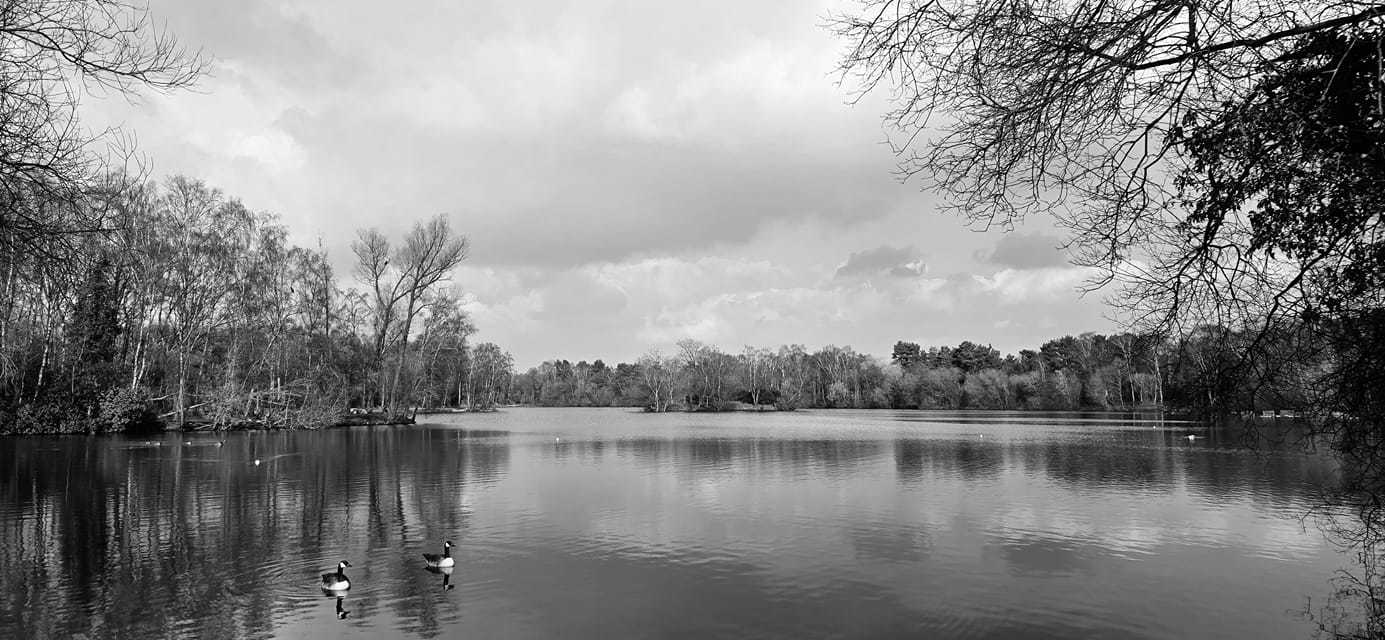 Shakerley Mere by Andrew Ball