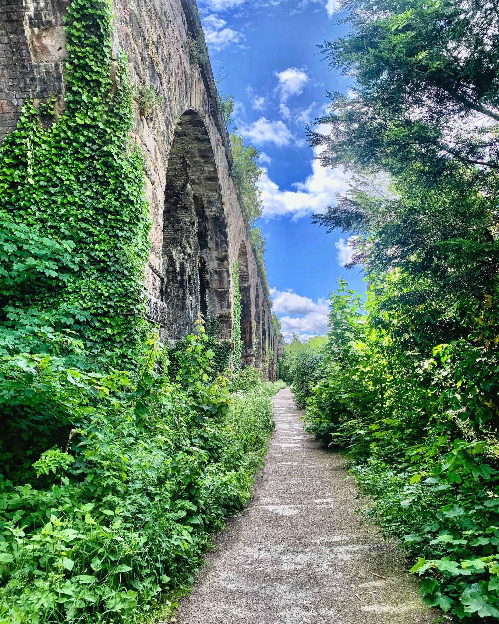 The arches by Martin Dignum