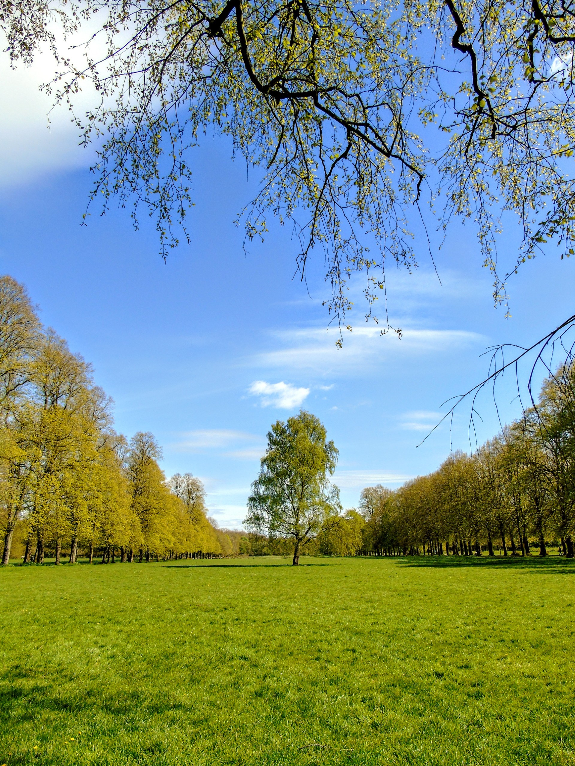 Marbury Park