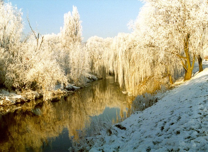 Snowy tree reflections over the river Dane in northwich by Pam Molloy Lownds