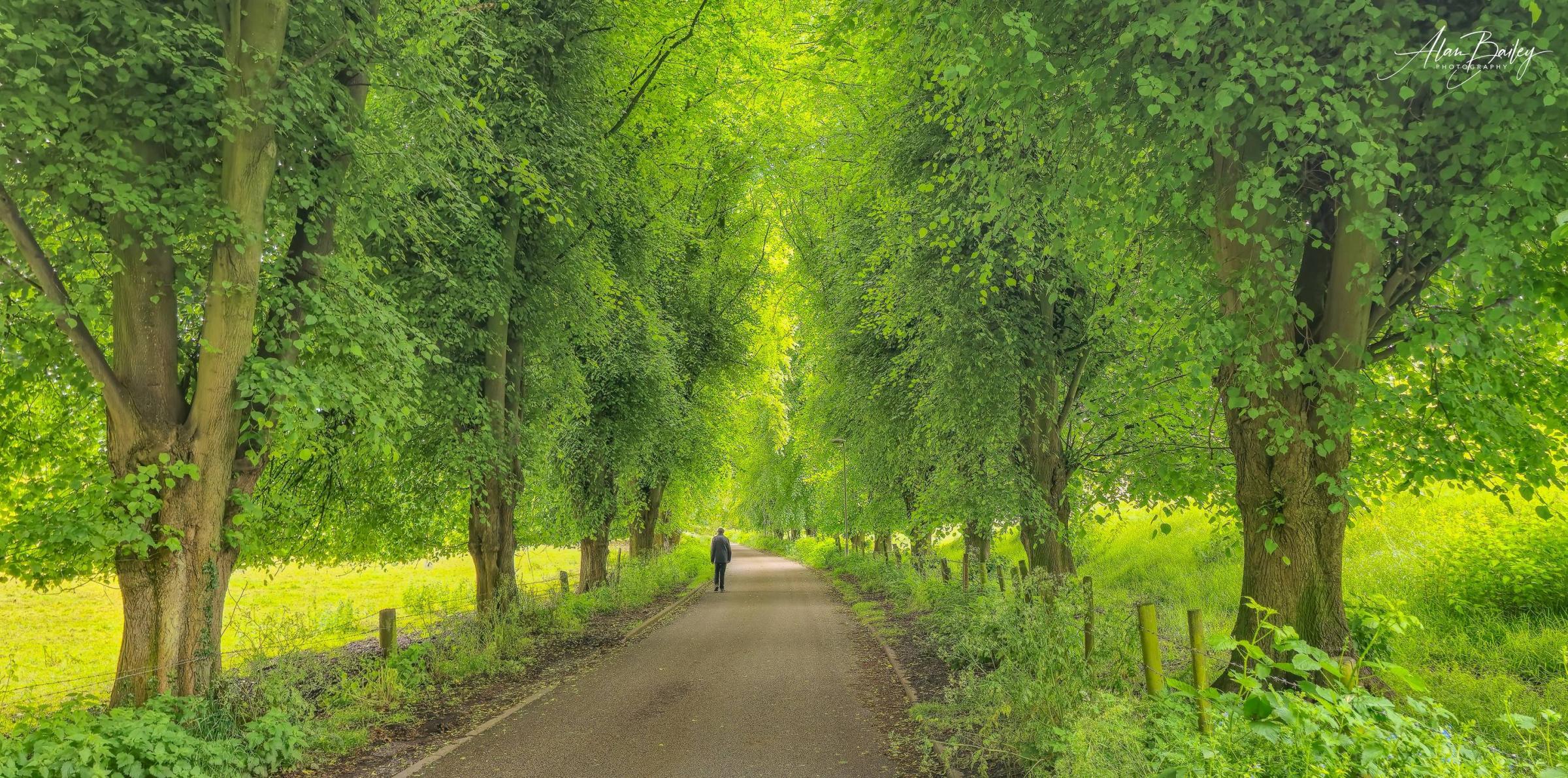 Church Road, Winsford by Alan Bailey