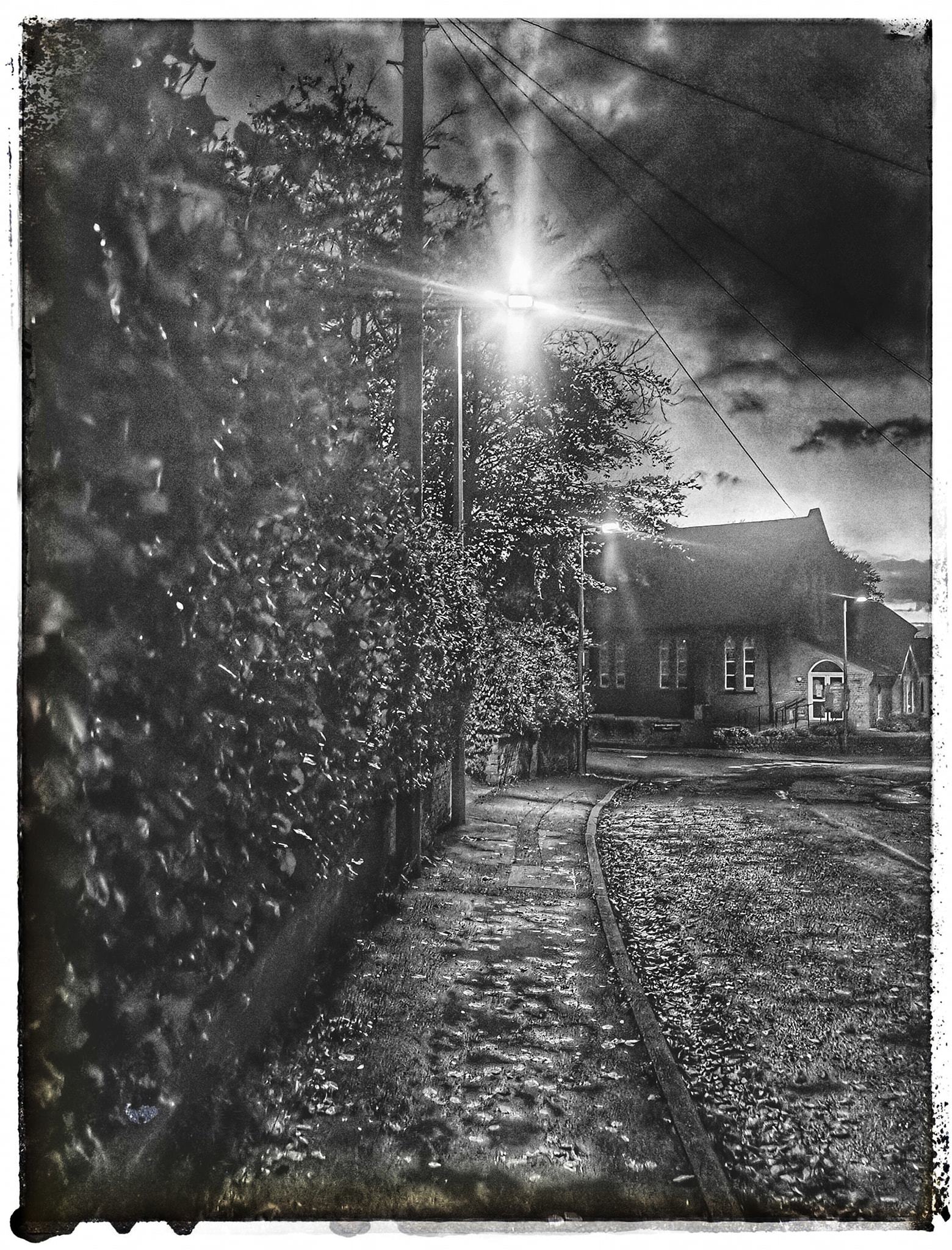 Lydyett Lane, Barnton by Patricia Dyson