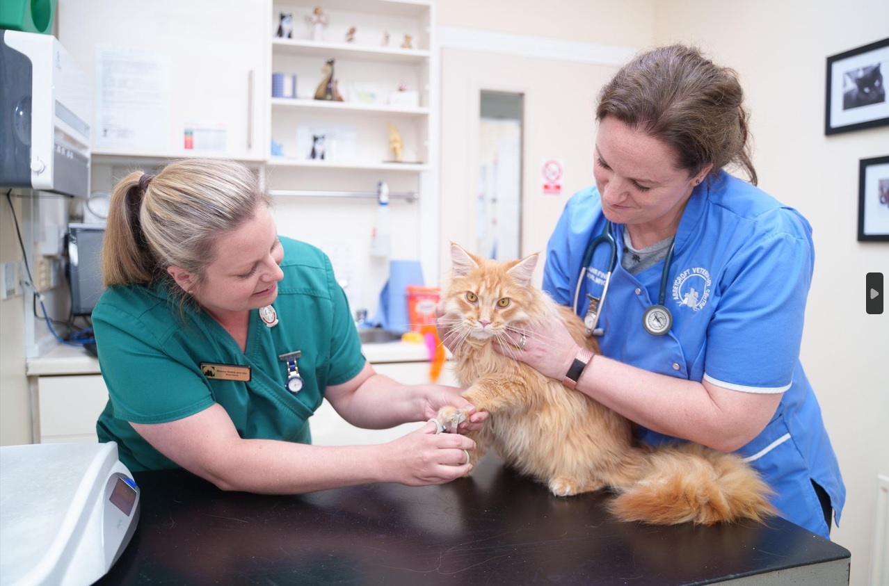 Abbeycroft Veterinary Surgery