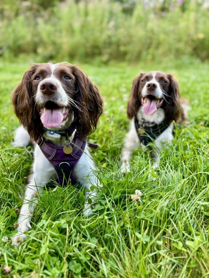 Tanzie and Aoife by Annette Wood