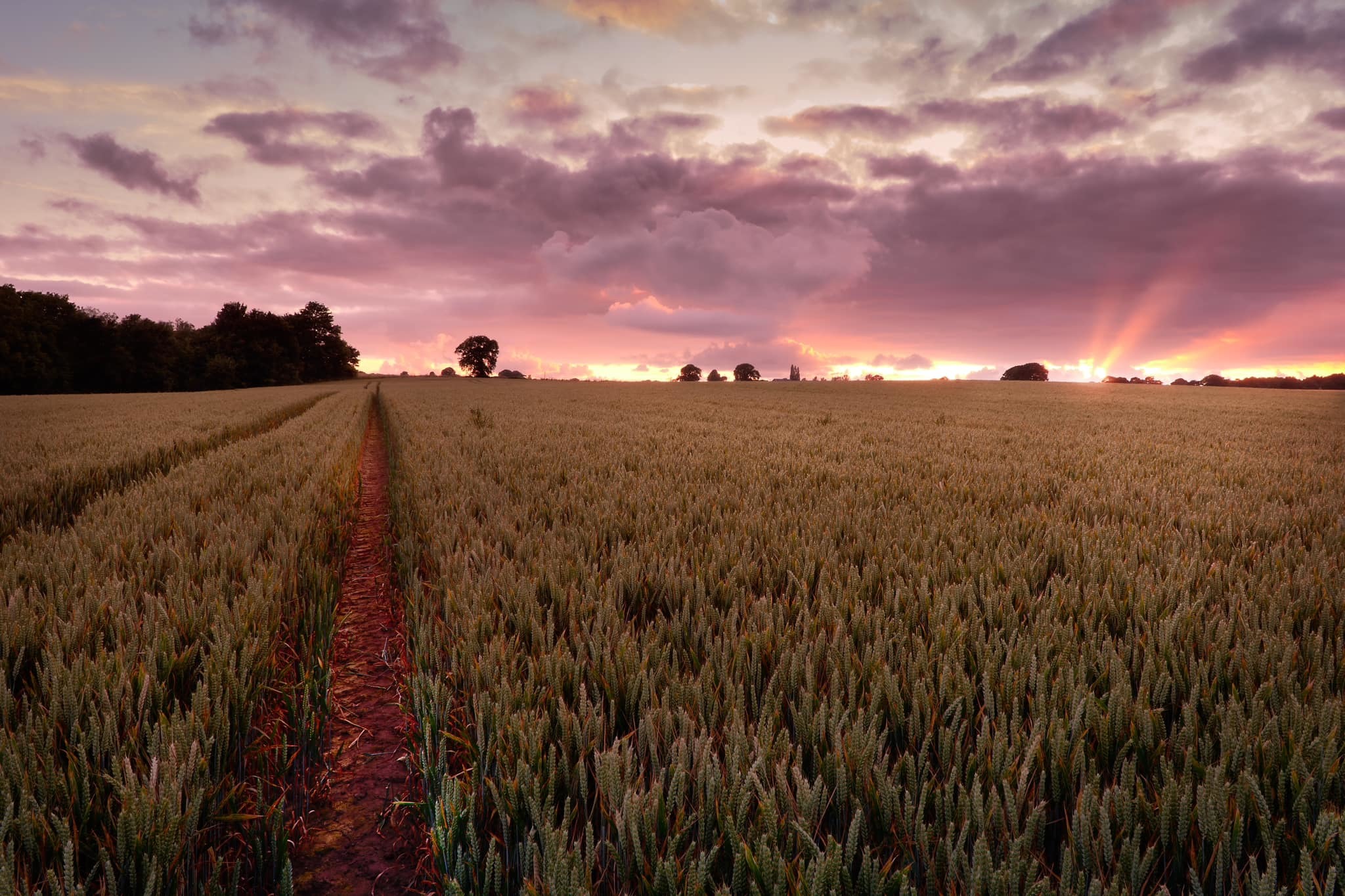 Sunset near the Weaver by Matt Nowell