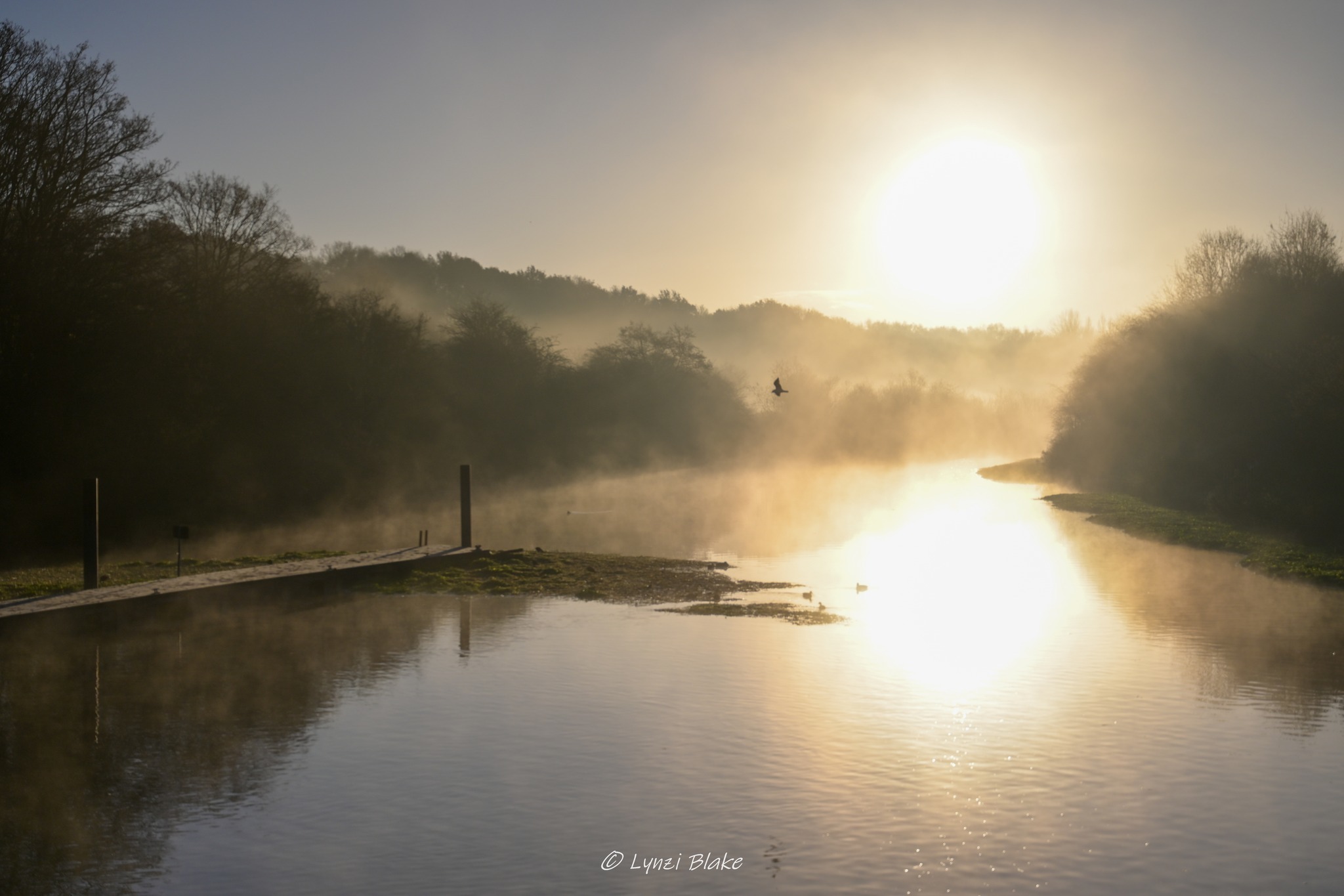 Newbridge by Lynzi Blake