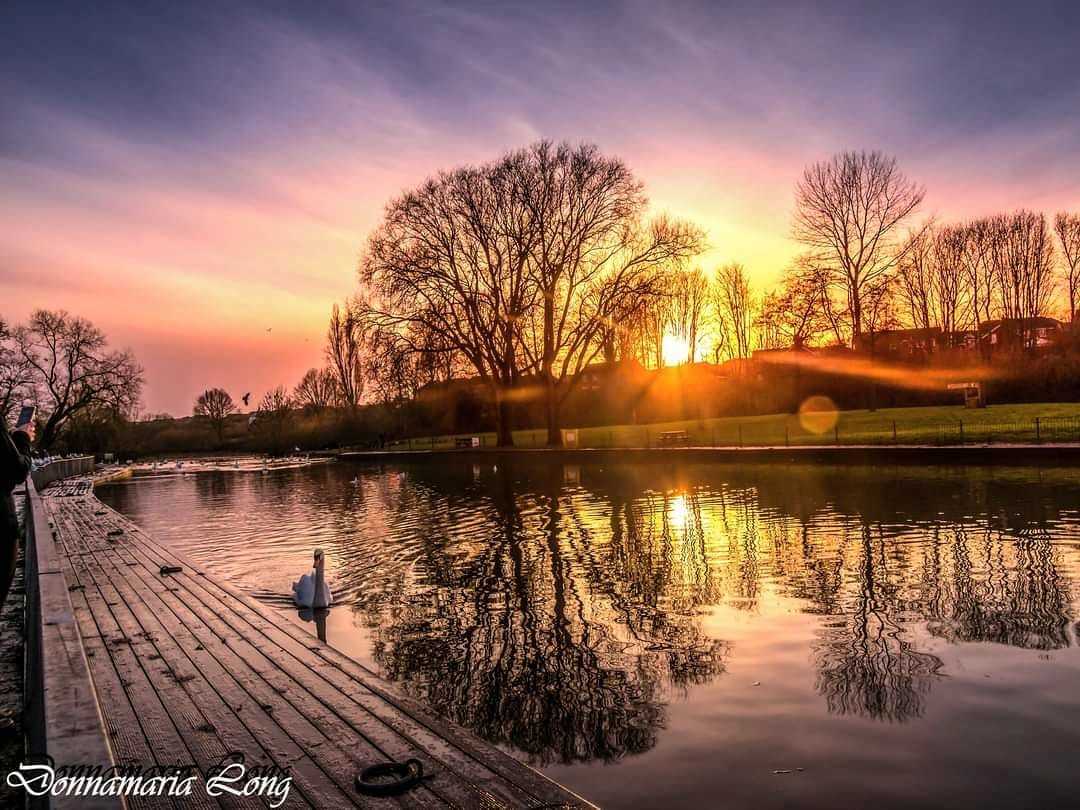 Winsford marina by Donna Maria Long