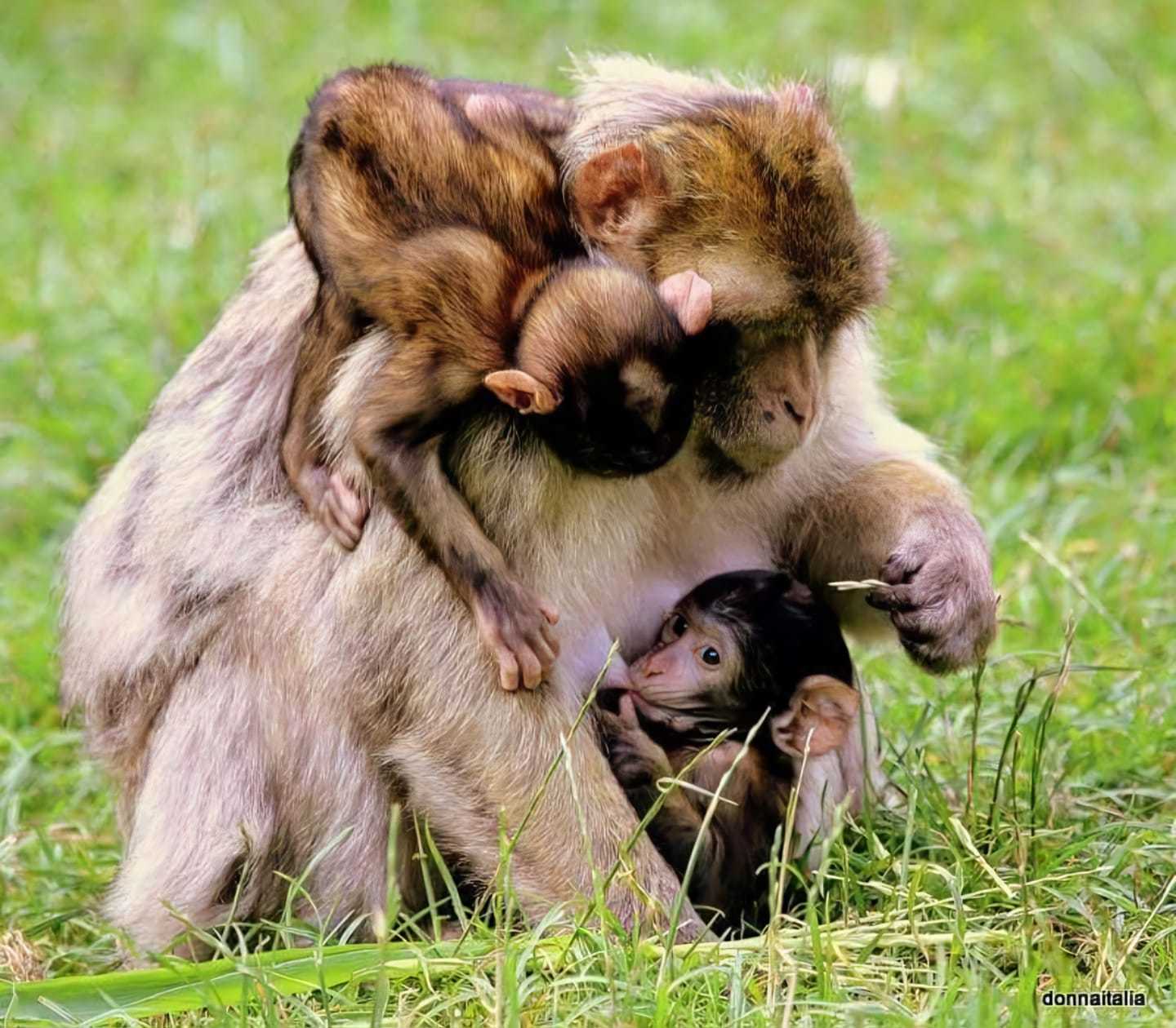 A mum and her two children by Donna Maria Long