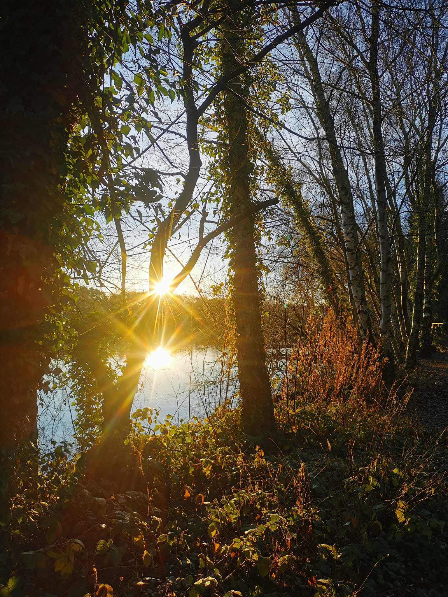 Shakerley Mere by Ann Marie Taylor