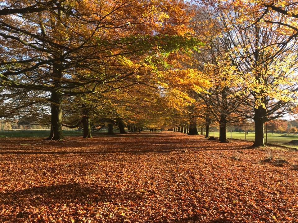 Tatton Park by Kristie Blake