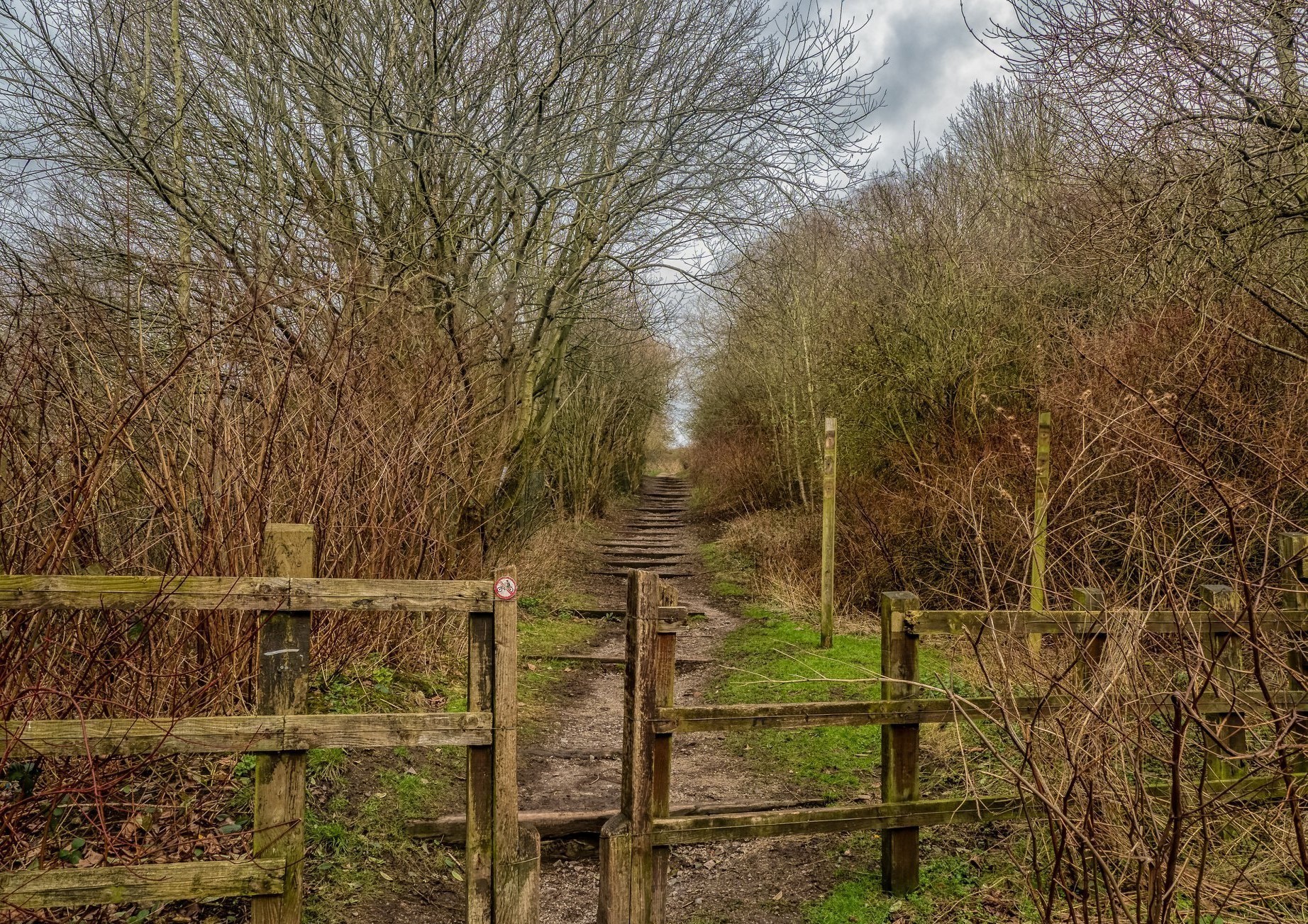 Weaver Parkway by Donna Maria Long