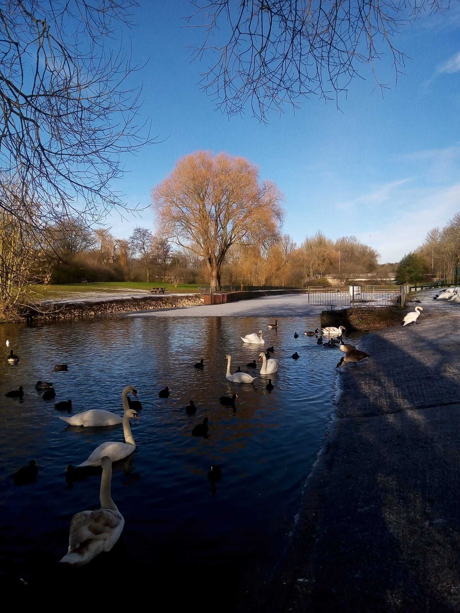 Winsford flashes by Philip Carden