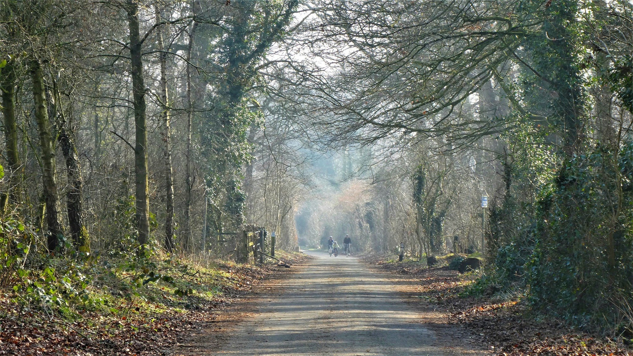 Marbury Lane by Lynne Bentley